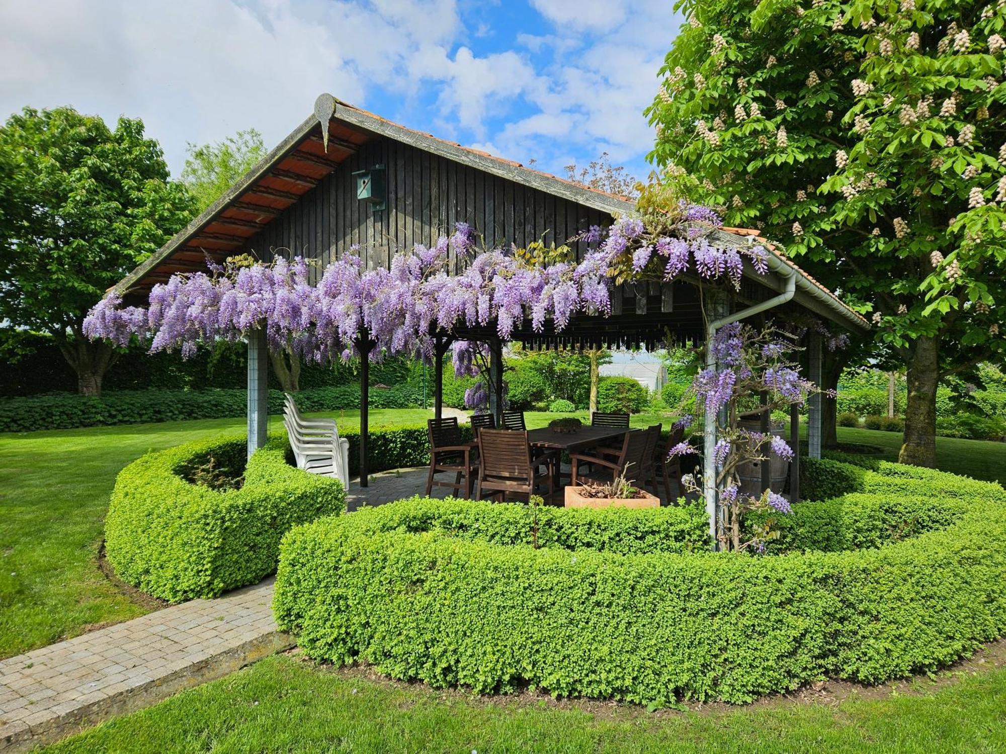 'T Hooghe Licht Bed & Breakfast Zonnebeke Esterno foto